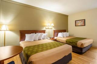 Econo Lodge Lake City-North - Lake City - 4