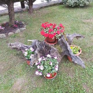 Casa Rural Juntana - 6