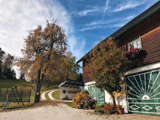 Ferienhaus Zwickelreith - 9