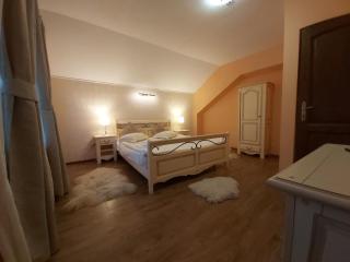 Vila Piscul Ursului - Predeal - 1