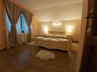 Vila Piscul Ursului - Predeal - 3