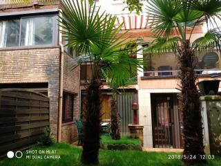 Appartement charmant à Alfortville - 30m² - Terrasse et jardin - Alfortville - 9