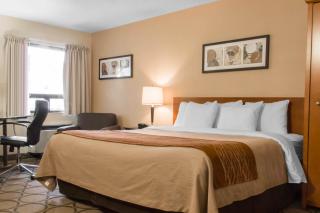 Comfort Inn - Swift Current - 2