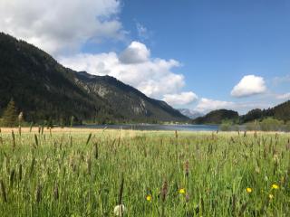 Das Haldensee - Nesselwängle - 9