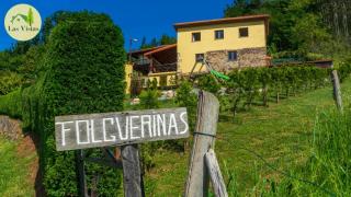 Las vistas - Cornellana - 9