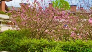 Apartamento con Jardín - Getxo - 5