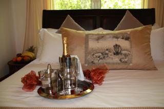 Orange-Ville Lodge & Guesthouse - Stellenbosch - 4