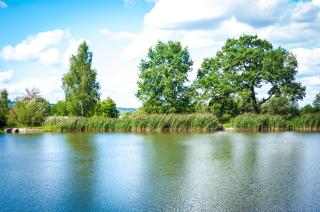 Tsisarske Urochyshe - 4