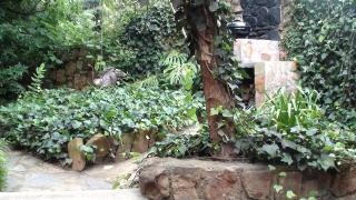 Forest Creek Lodge & Spa - 7