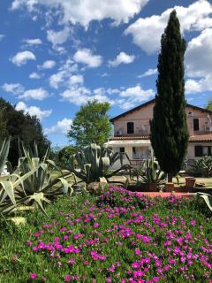 Armonia della Sera B&B and Relax - Porto SantʼElpidio - 3