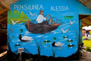 Pensiunea Alessia Murighiol - 4