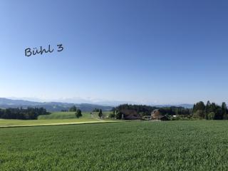 Bühl 3 - Affoltern - 0