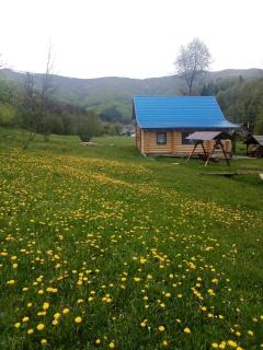 Cottage Лісовий - Bukovets - 9