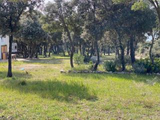 Camping Sugar - 2