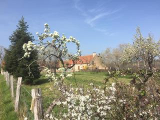 chambres d'hôtes Domaine les Grands Pérons - 9