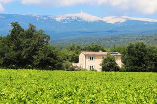 La Bastide de l'Olivier - Flassan - 0