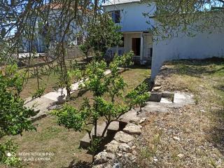 Poborska Villa - 4