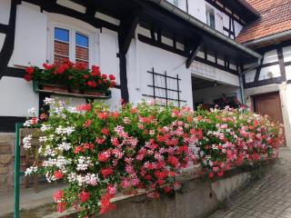GÎte rue de l'Ange - Hunspach - 9