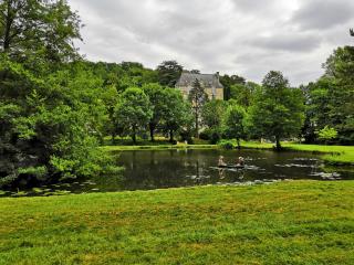 Gite La Suite Ducale Chateau La Roche Racan - Saint-Paterne-Racan - 9