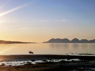 Holiday home Hamnvik - Hamnvik - 6