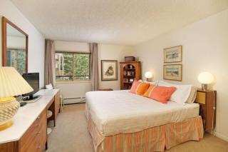 Shadowbrook 204 - Snowmass Village - 2