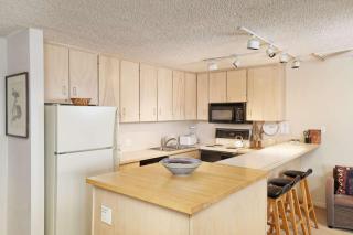 Shadowbrook 204 - Snowmass Village - 4