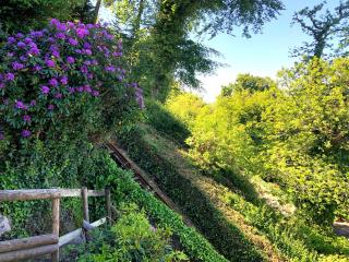 The North Cliff Hotel - Lynton - 1