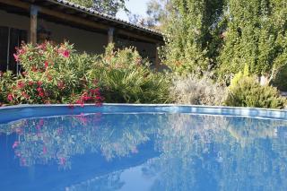 Charming House in Castro Marim with Shared Pool - 0