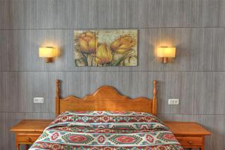 Apartamentos Petronilla - Benasque - 4