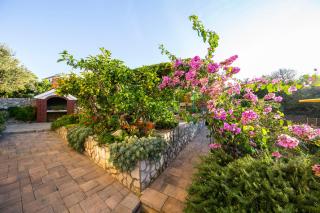 Apartmani Branka Murter - Murter - 5