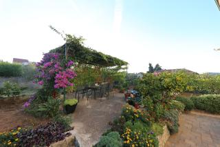 Apartmani Branka Murter - Murter - 6