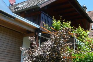 Ferienwohnung Beim Holzmann - Gutach - 7