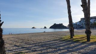 TROPICAL AVENIDA ANDALUCIA - Almuñécar - 7
