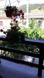 Casa Elena Eselnita - 6