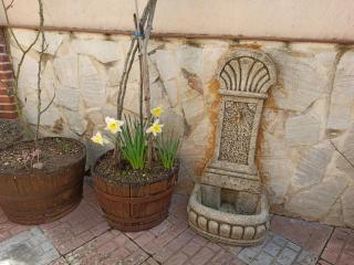 Casa Fuente del Val - Prádanos de Ojeda - 2