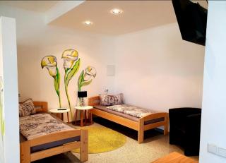 Gästeappartements Bierfässl - Sinsheim - 9