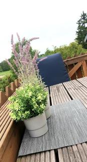 Große Koje mit Terrasse - Rostock - 8