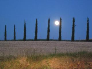 Agriturismo Torrenieri da Alessandro - Pienza - 1