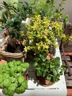 Brezza Affittacamere - 7