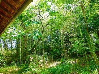 Kominka Sharehouse Hooju - Vacation STAY 7614 - Miyazaki - 2