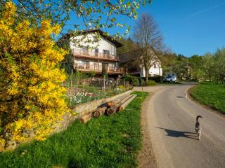 Bauernhof Waira - Yspertal - 5