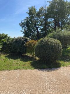La Bastide de l'Olivier - Flassan - 9