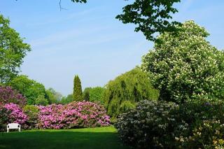 Küstenliebe Graal-Müritz - Gelbensande - 4