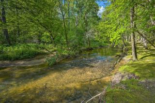 Tellico Plains Cabin - 25 Acres, Backyard Creek! - Tellico Plains - 3