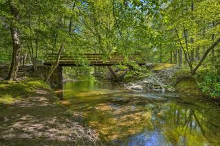 Tellico Plains Cabin - 25 Acres, Backyard Creek! - Tellico Plains - 2