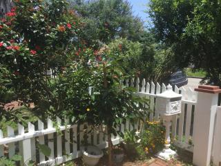 1118 Postoffice Street - Galveston - 6