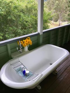 Dayboro - Blue Ridge Lavender Cottage - Dayboro - 9
