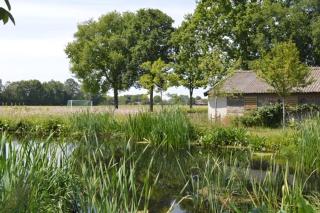 Residentie De Hoek - Den Dungen - 4