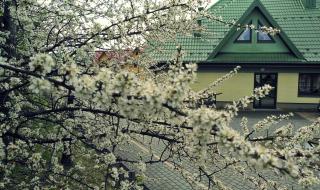 Centrum Wypoczynku i Rehabilitacji Umina - Czorsztyn - 2