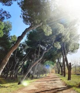 Villino Di Girolamo - Pineto - 3